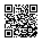 平安车联保汽车服务（辽宁）有限公司移动站二维码