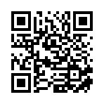 宁夏盛世宏途运输服务有限公司移动站二维码