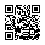 湖南彬儒信息咨询有限公司移动站二维码