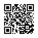 武汉市蓝倩颦科技有限公司移动站二维码