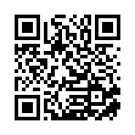 武汉市碧审科技有限公司移动站二维码