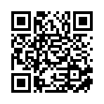 武汉市彬宸商贸有限公司移动站二维码