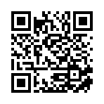 山东欣盈汇泰进出口有限公司移动站二维码