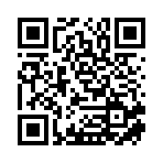 武汉灵鹏越进电子有限责任公司移动站二维码