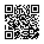 武汉柏安技术咨询有限公司移动站二维码