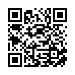 广西顺泰船务有限公司移动站二维码