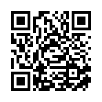 湖南雁城东电新能源有限公司移动站二维码