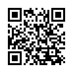 山东轻帘智能科技有限公司移动站二维码