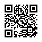 上海星河引擎智娱文化科技有限公司移动站二维码