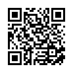 广州汇盛通外贸综合服务有限公司移动站二维码