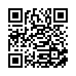 上海涞寅互娱网络科技有限公司移动站二维码