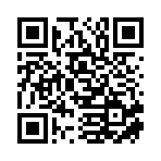 衡阳雁小七传媒有限公司移动站二维码