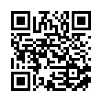 南召县碰碰船技术服务有限公司移动站二维码