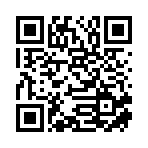 岚电（宁波）汽车服务有限公司移动站二维码