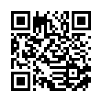 上海晅宸国际贸易有限公司移动站二维码