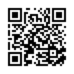 瑞安市轻艺电子商务有限责任公司移动站二维码