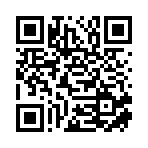 盈江县岩月婷耿农副产品电子商务有限责任公司移动站二维码