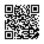 廊坊大波汽车服务有限公司移动站二维码