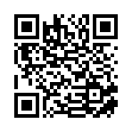 临沂盛泰国际贸易有限公司移动站二维码