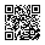 海口彬风好电子商务有限公司移动站二维码