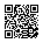 武汉雨泽宸驰二手车有限公司移动站二维码