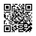 东阳市晟华工艺品有限公司移动站二维码