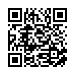 南宁市红火网络科技有限公司移动站二维码