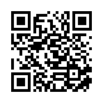 南宁百年鼎鸿网络科技有限责任公司移动站二维码